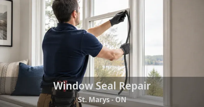 Window Seal Repair St. Marys - ON